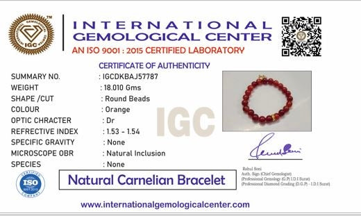 Carnelian Bead Bracelet with Elephant Charm For Women